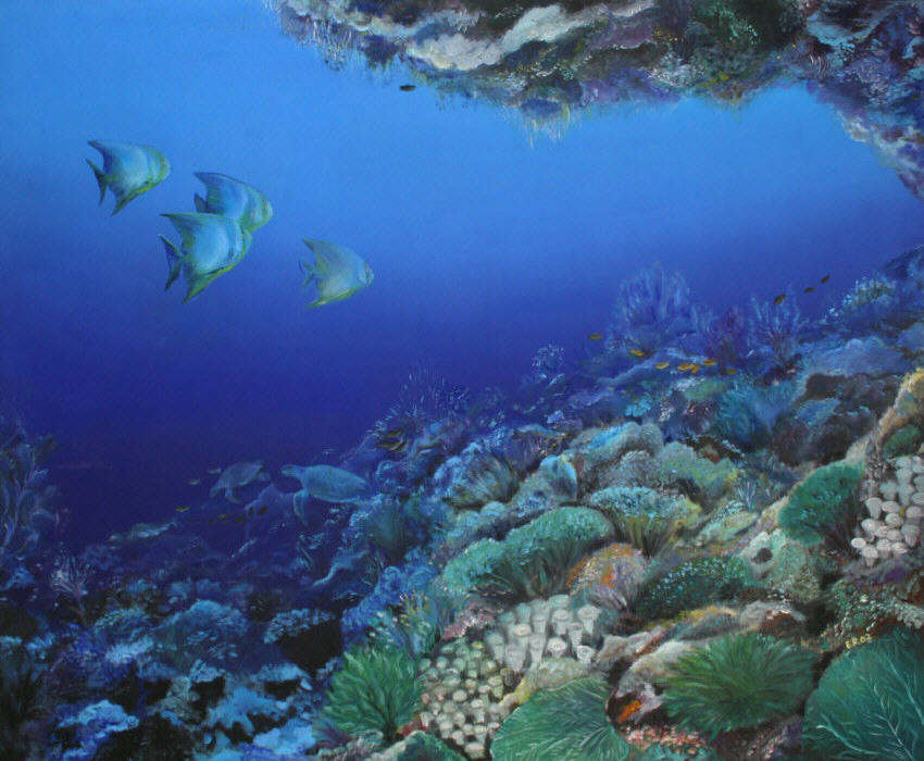 Korallengarten I, 2002, Öl auf Leinwand, 100x120 cm